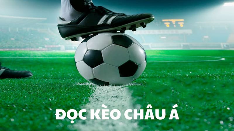 Cách đọc và hiểu tỷ lệ trong Kèo Châu Á