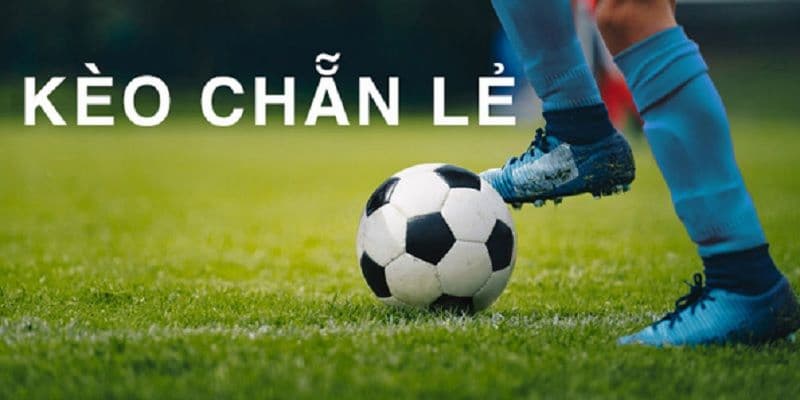 Kèo Dự Đoán Bàn Thắng Lẻ/Chẵn Chiến thuật tối ưu khi chơi Kèo Dự Đoán Bàn Thắng Lẻ/Chẵn
