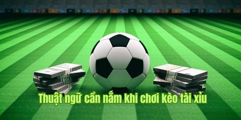 Tại sao Kèo Tài Xỉu lại được ưa chuộng trong cá độ bóng đá?